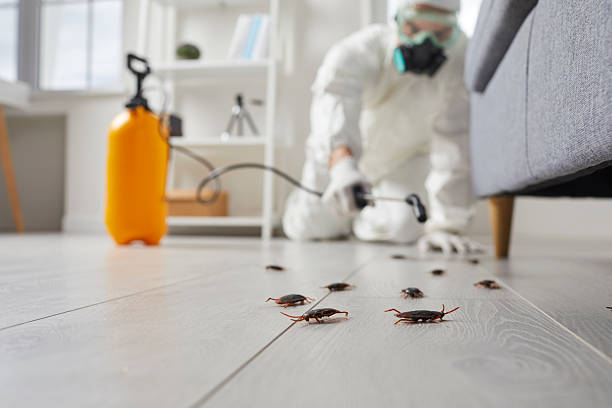 Trusted Emergency Pest Control service in Pine Ridge at Crestwood, NJ - Nex Pest Control
