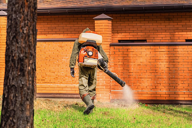 Trusted Rodent Control service in Pine Ridge at Crestwood, NJ - Nex Pest Control